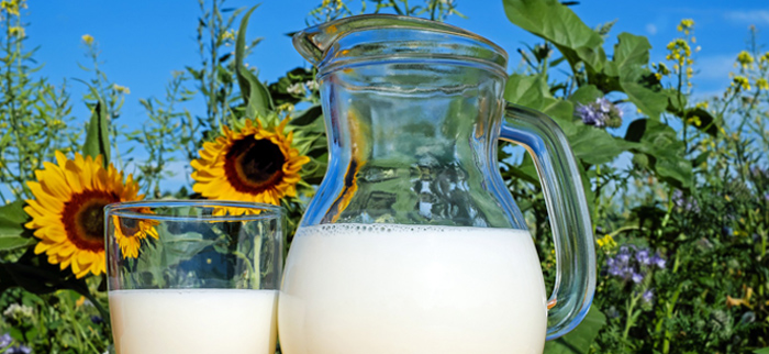 mleczne produkty fermentowane