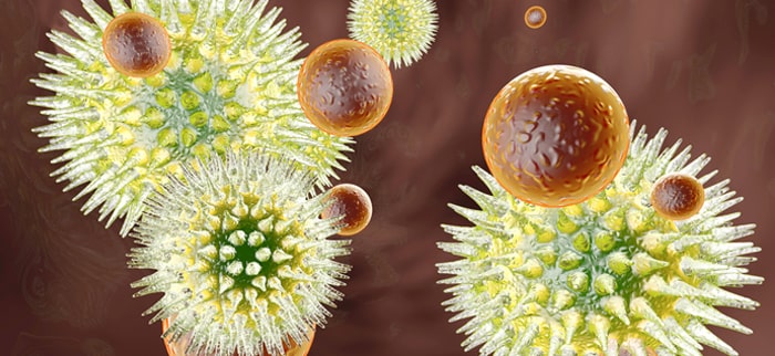 infekcja wirusowa czy bakteryjna