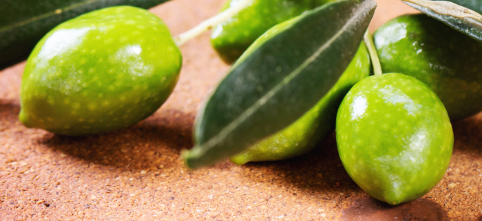 właściwości zielonych oliwek